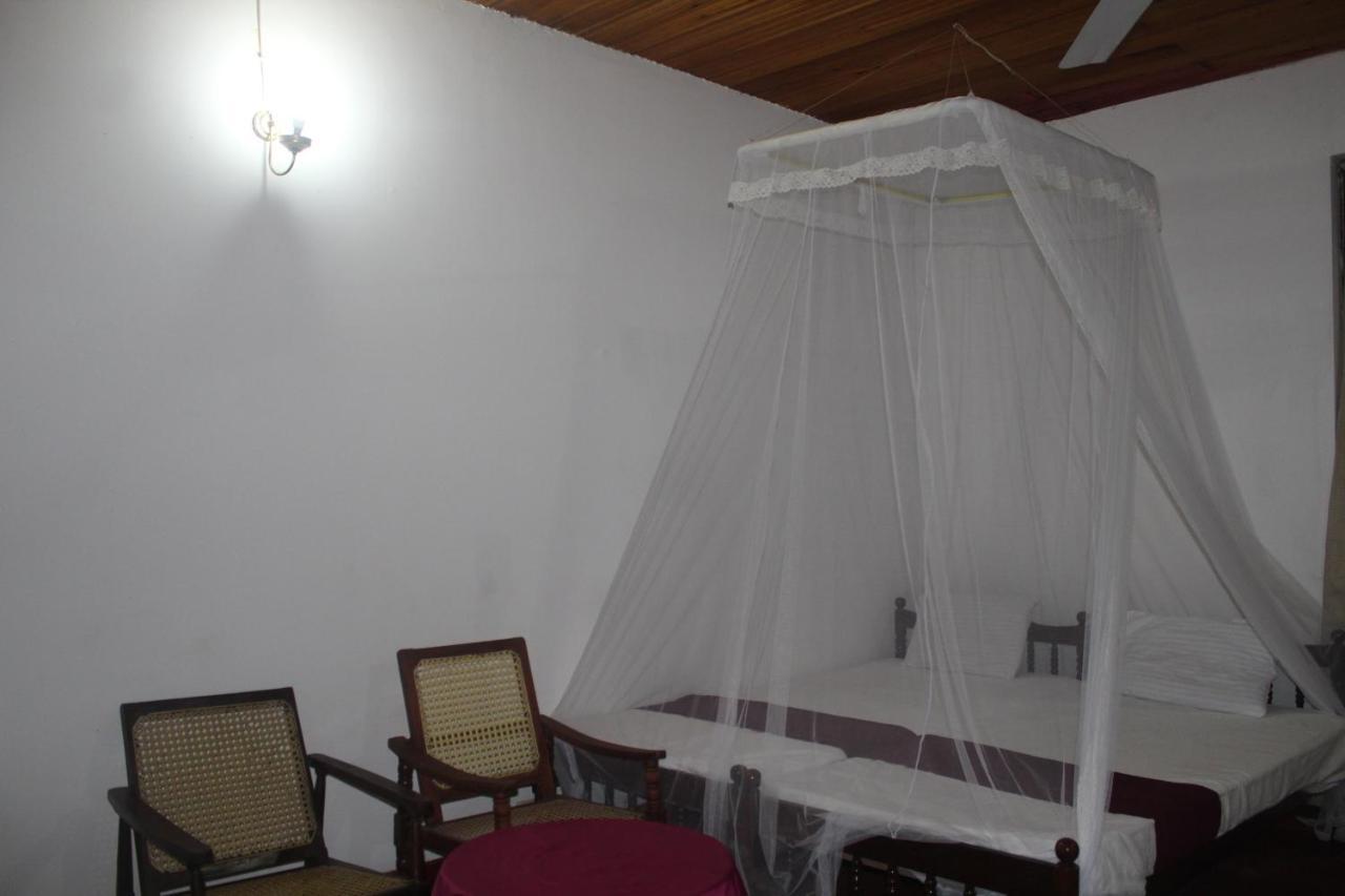 Lazy Bear Best Hostel In Kandy Esterno foto