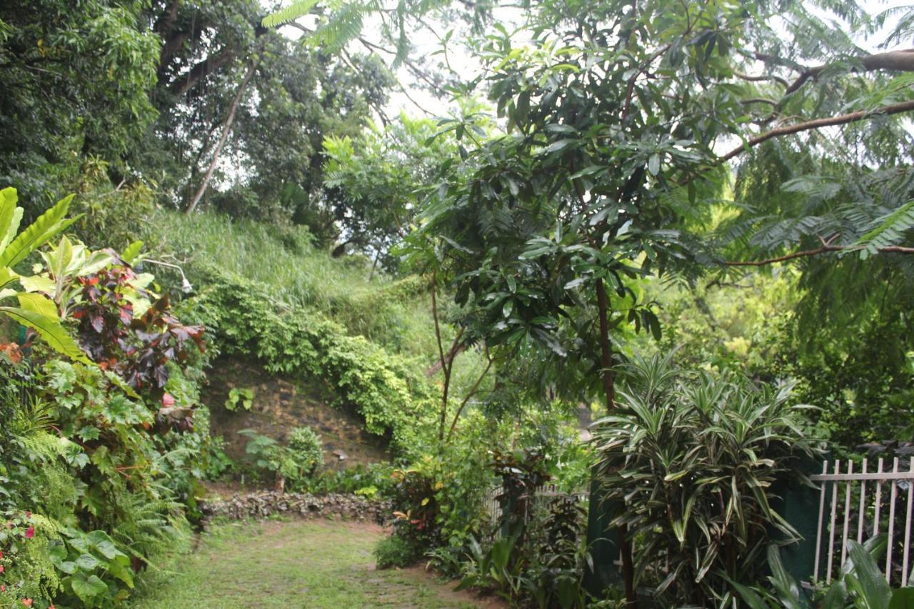 Lazy Bear Best Hostel In Kandy Esterno foto