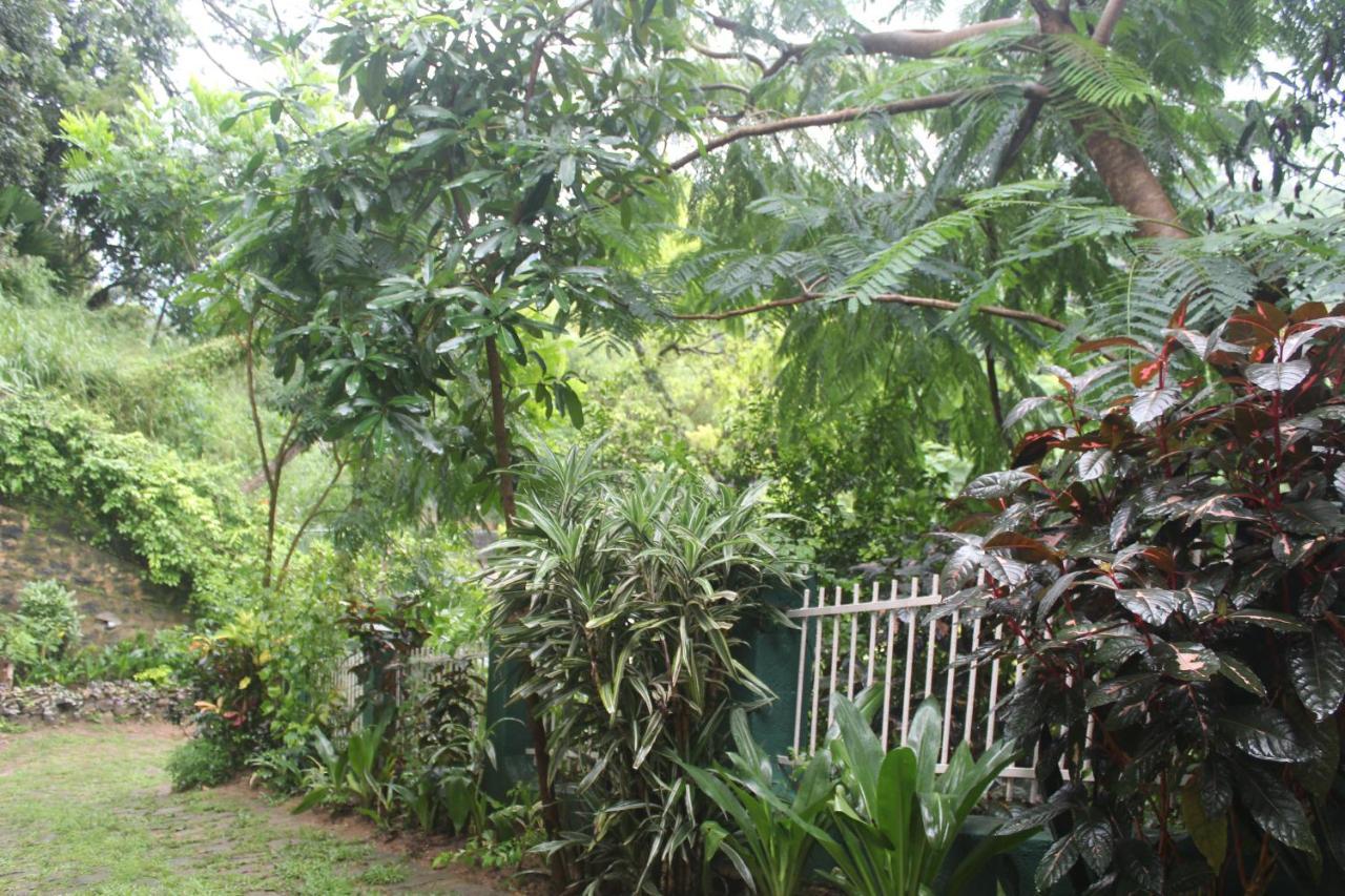 Lazy Bear Best Hostel In Kandy Esterno foto