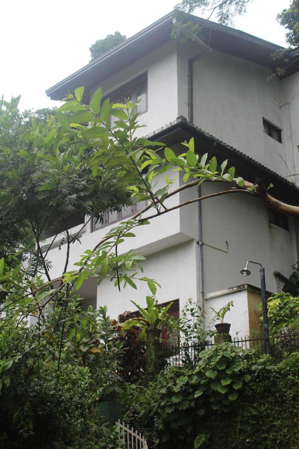 Lazy Bear Best Hostel In Kandy Esterno foto