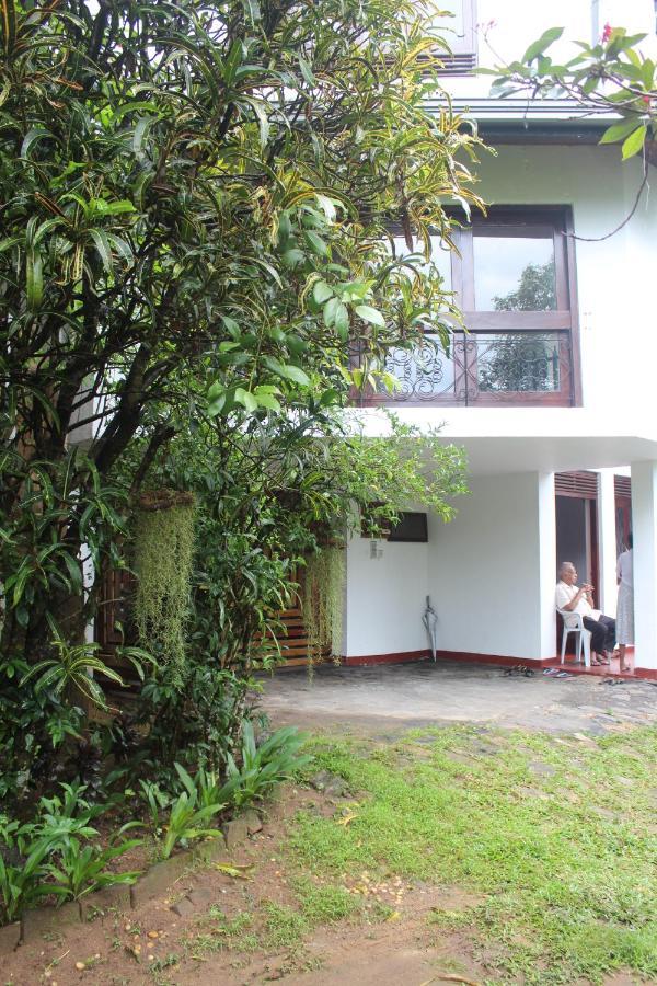Lazy Bear Best Hostel In Kandy Esterno foto