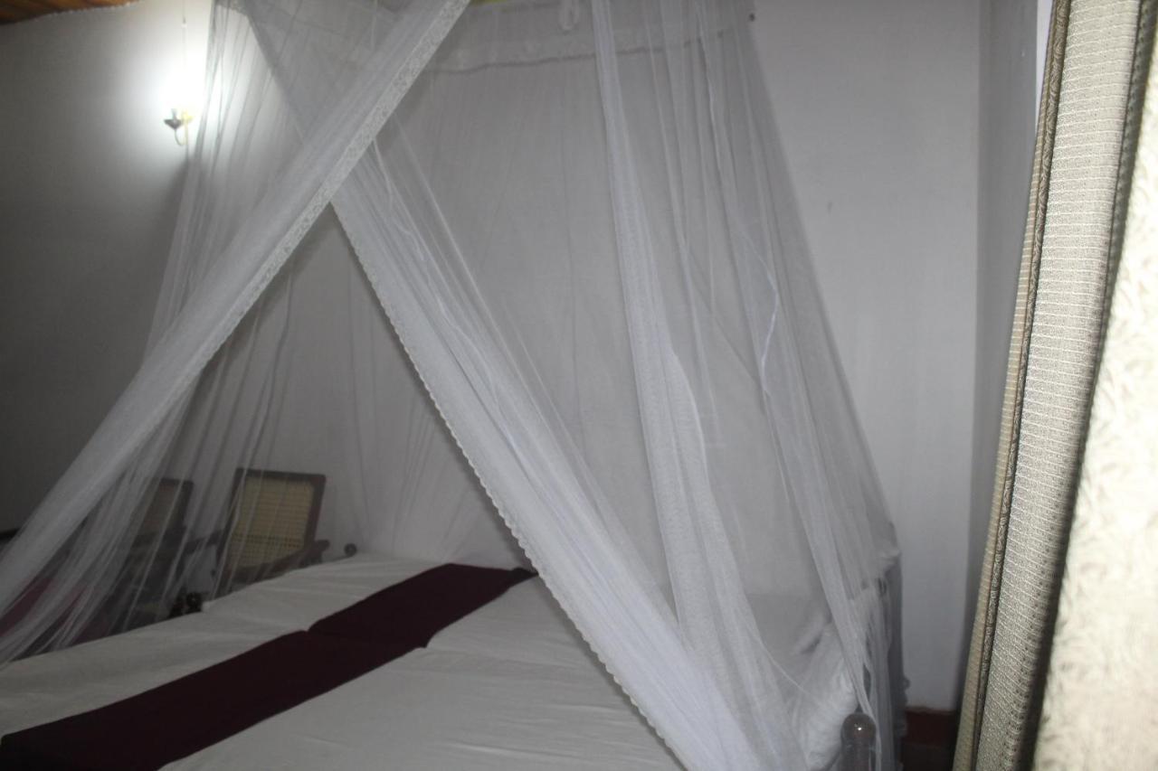 Lazy Bear Best Hostel In Kandy Esterno foto