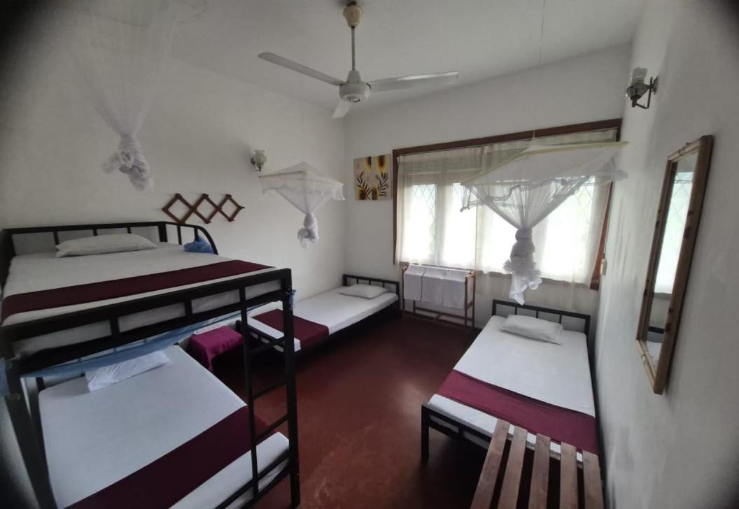 Lazy Bear Best Hostel In Kandy Esterno foto