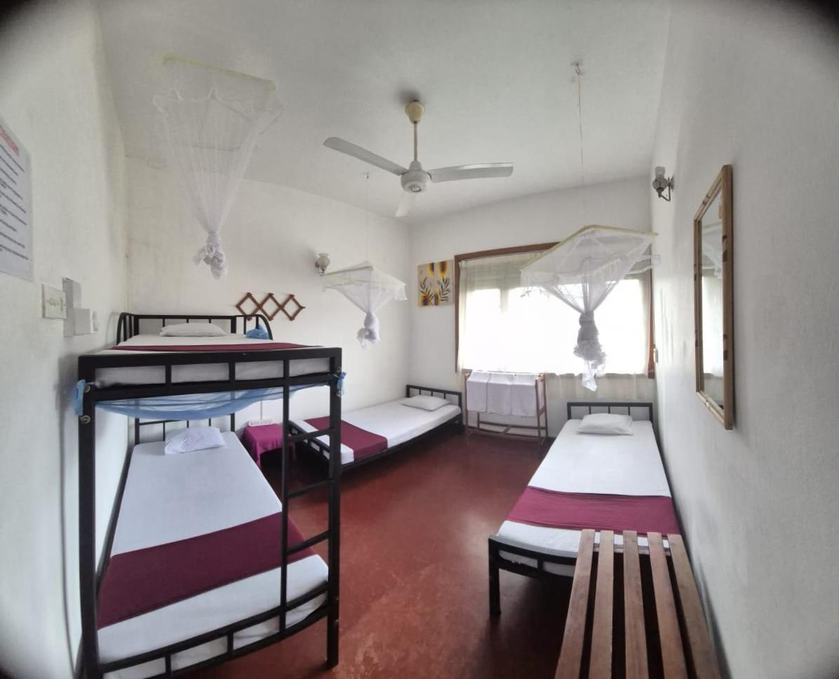 Lazy Bear Best Hostel In Kandy Esterno foto