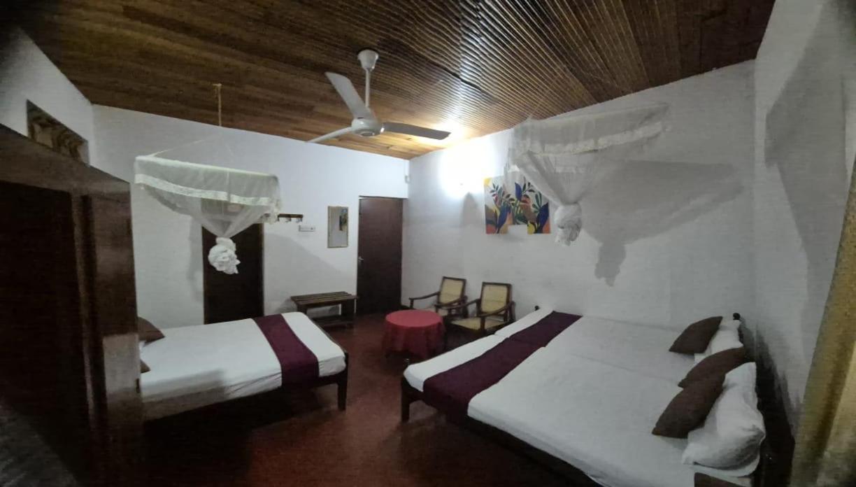 Lazy Bear Best Hostel In Kandy Esterno foto