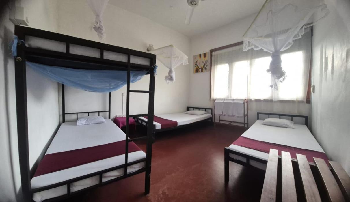 Lazy Bear Best Hostel In Kandy Esterno foto
