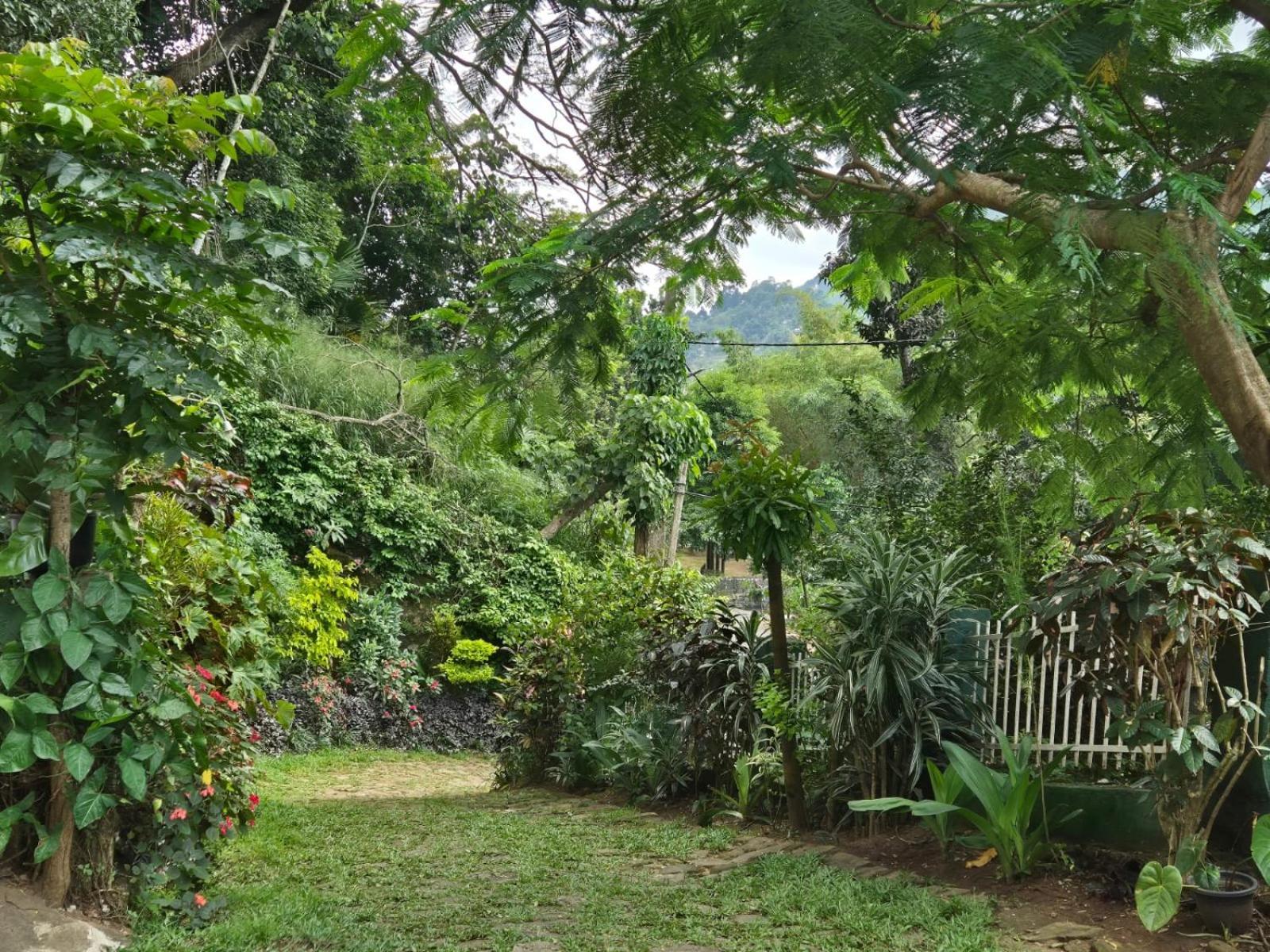 Lazy Bear Best Hostel In Kandy Esterno foto